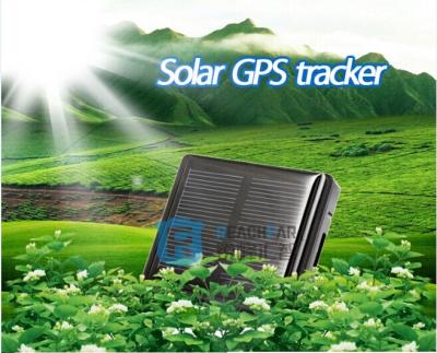 China Mini solar gps tracker waterproof for animal tracking device reachfar RF-V26 for sale