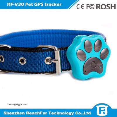 China High quality worlds smallest gps tracking device for pet dog cat mini waterproof for sale