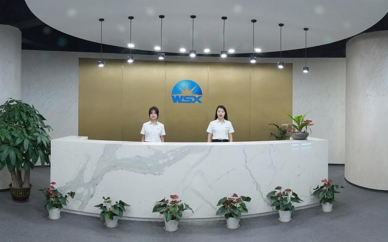 Verified China supplier - Shenzhen Worthing Technology Co., Ltd.