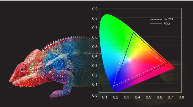 Surface Correction Image