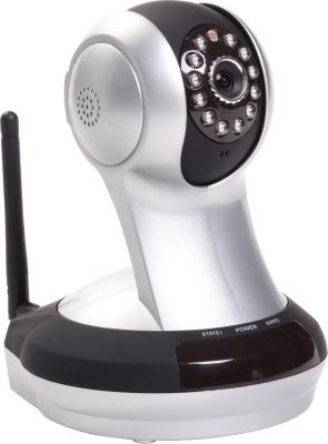 China Cloud IP Camera/IP PTZ Camera/IP Camera with CRM System for sale