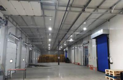 Chine 40 mm Panneau isolé Chambre froide Portes de retour Chambre extérieure Porte électrique Opération manuelle à vendre
