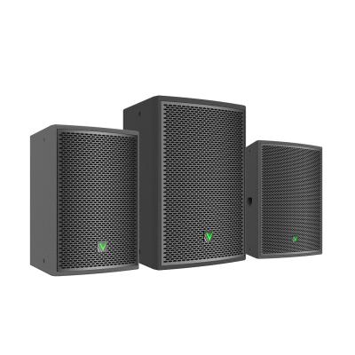 China Portable PA Speaker System 300W 10 Inch Two-Way Passive Speaker for sale