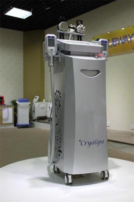 China 2016 new design rf cavitation cryolipolysis equipments hot cryolipolysis slimming machine for sale