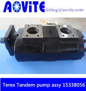 China Terex mining truck double pump 15338056 for sale