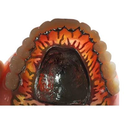 中国 完全で取り外し可能なFDA 3014652903本の合成の樹脂の王冠の総義歯の歯 販売のため