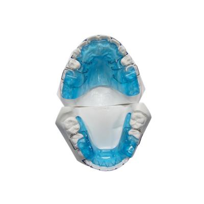 Chine L'OIN de FDA dentaire de la CE a certifié les biens faciles d'entretien de technologie orthodontique à vendre