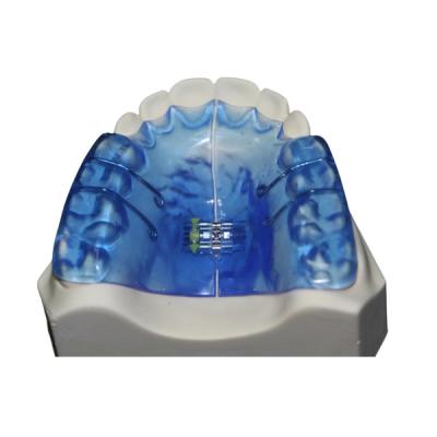 Κίνα Ορθοπεδικά οδοντικά όργανα με την υψηλή σταθερότητα και καλό Biocompatibility προς πώληση