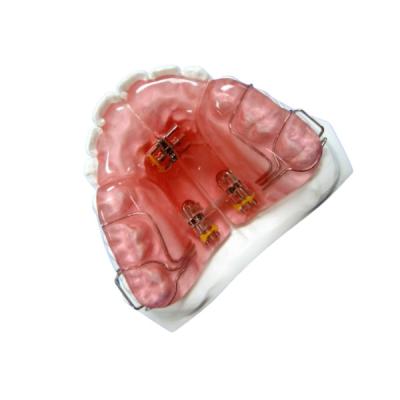 中国 高い硬度のFDAの機能電気器具の歯科矯正学のゴム製保持器 販売のため