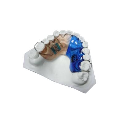 中国 高い耐久性の調節可能な固定歯科矯正学の電気器具ワイヤー 販売のため