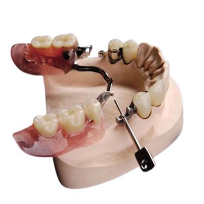 Chine Anticorrosion naturel de dentier d'attachement de la précision Mk1 bel à vendre