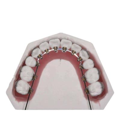 China Straight Wire Fixed Orthodontic Appliances For Teeth Straightening for sale