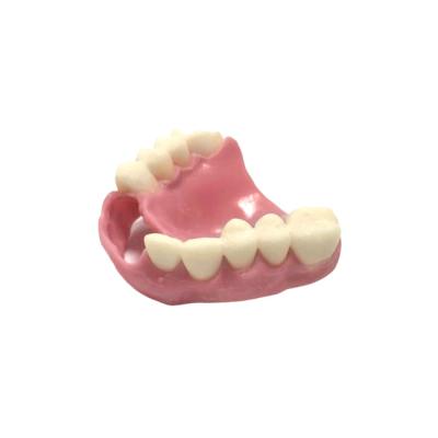 China CAD CAM 3D Printing Dentures Natural Color Denture Dental Lab for sale