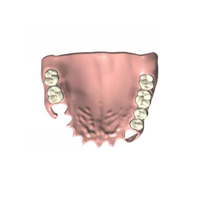 中国 高い咀嚼の効率の義歯の歯科実験室の部分的な義歯の高品質 販売のため
