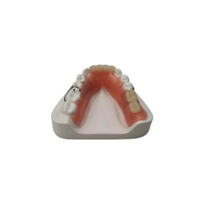 Chine Prothèse dentaire en résine souple Laboratoire dentaire Prothèses dentaires partielles amovibles en acrylique à vendre