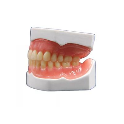 China Realistic Shape Zirconia Dental Crown Manufacturing 3D Denture Model for sale