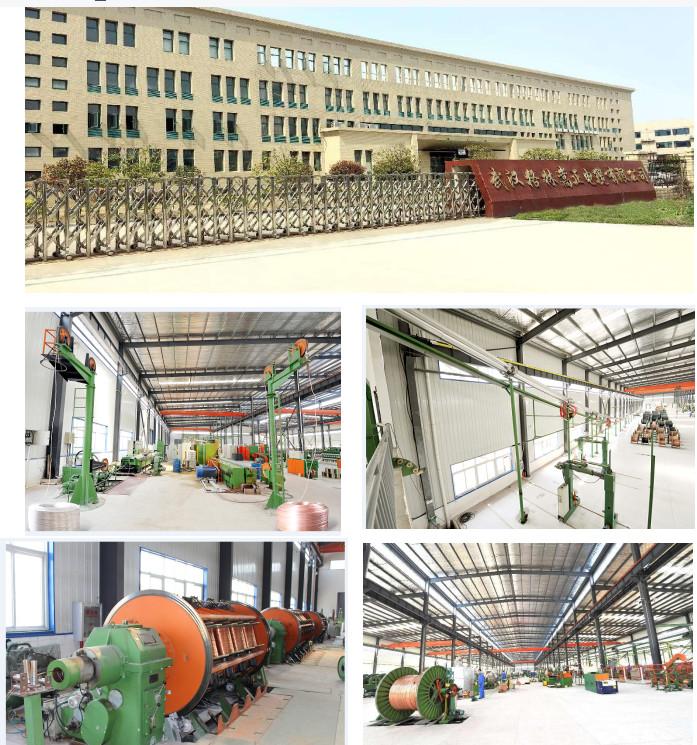 Fournisseur chinois vérifié - Wuhan Green Song Zheng Cable Co.,Ltd