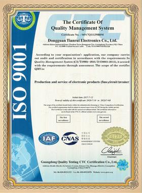 ISO9001 - Dongguan Tianrui Electronics Co., Ltd