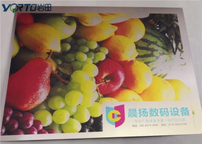 China O alumínio UV da sublimação do Inkjet do leito não cobre nenhum imprimir necessário limpeza diretamente à venda
