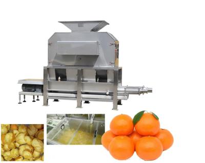 Chine Machine automatique industrielle d'éplucheuse de jus d'orange de fruit à vendre