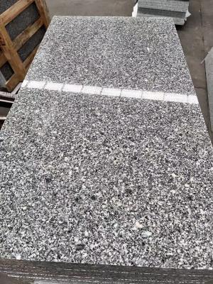 China G623 600*600mm van het de Tegelsgraniet van de Graniet BuitendieMuur het Terrastegels aan Grootte worden gesneden Te koop
