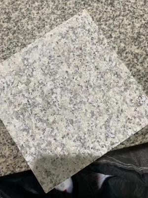 China Gray Natural G602 Granite Stone Tiles Flamed Face For Staircase Step for sale