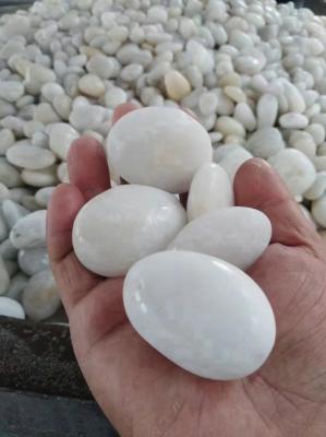 China Natural Pebble Stone High Frost Resistance for sale