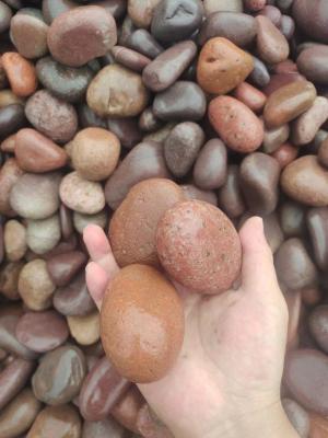 China 2-3cm Natural Pebble Stone For Garden High Chemical Resistance for sale