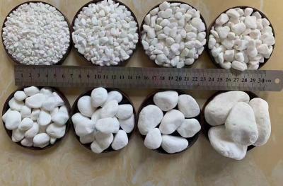 China High Abrasion Resistance Garden Natural Pebble Stone For Path Paving for sale