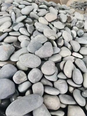 China piedra natural del guijarro del río irregular de 2-3m m para el suelo al aire libre de la piscina en venta