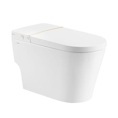 Chine Toilette futée moderne en céramique de contrôle de bouton, cuvette des toilettes intelligente de jet de Siphonic à vendre
