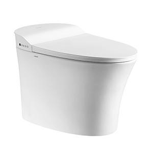 Chine FLÈCHE AKB1303M Modern Smart Toilet, carte de travail au plancher Tankless de piège du cabinet d'aisance P à vendre