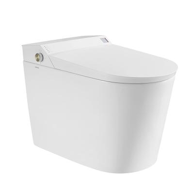 China Bathroom Smart Wc Seat Ceramic One Piece S trap Water Temperature Adjustment for sale
