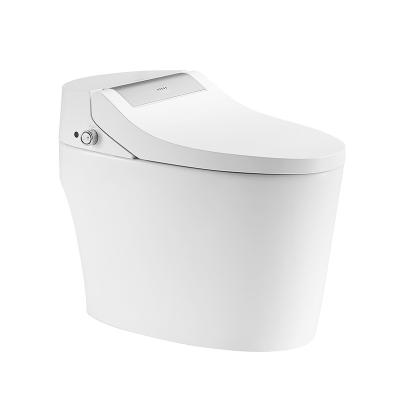 China ARROW Smart Toilet Seat 660x400x520mm Water And Air Dry Functional for sale