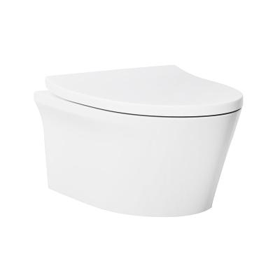 China ARROW AB2175H Wall Hung Toilet , Sanitary Wash Down Type Water Closet for sale