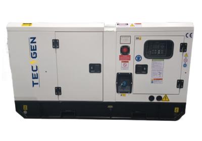 China 40 kW 50 KVA generator Ricardo borstelloze alternator type met digitale controller TG6120N Te koop