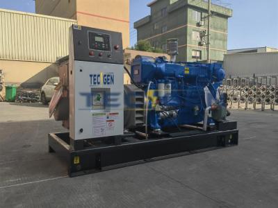 China 250kVA generador marino conjunto Alimentado por Weichai WP10CD238E200 motor marino en venta