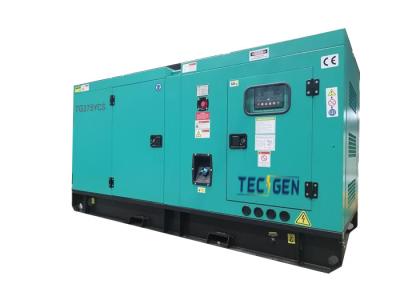 China Standby Power 220kW Diesel Generator Soundproof Canopy Powered By Chinese Diesel Engine en venta
