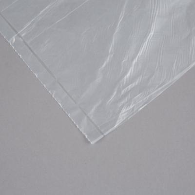China HDPE Material Plastic Flat Bags 18