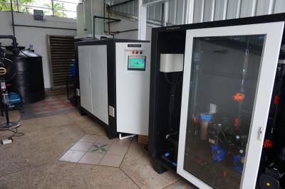 China 3.5kg/do Cl2 quilograma da eletrólise da água do mar produzindo o equipamento do hypochlorite de sódio para o aquário à venda