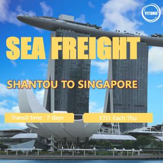 China International Sea Freight from Shantou to Singapore Port to Port for sale