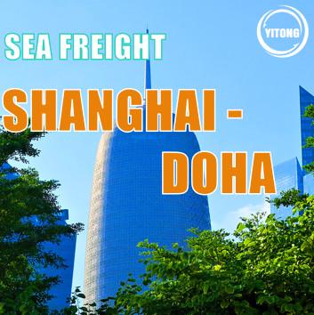 China Shanghai to Doha Qatar International Sea Freight Service 25 days for sale