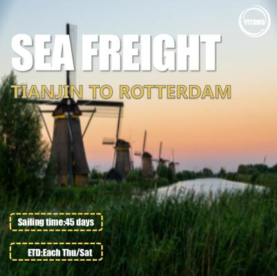 China 2 Shifts Per Week Worldwide Sea Freight From Tianjin To Rotterdam Netherlands for sale