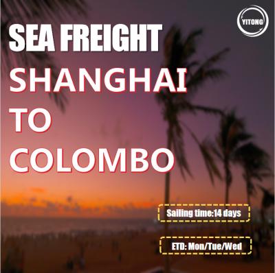 China Frete marítimo de Xangai China para Colombo Sri Lanka à venda