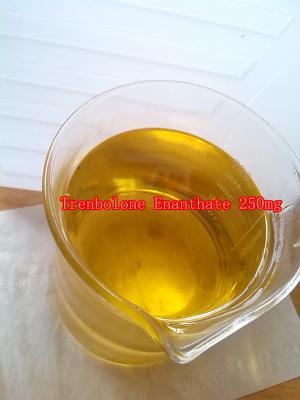 China 60 - 250 mg/ml Injectable Steroids Anabolic Trenbolone Enanthate Parabolan Liquid for sale