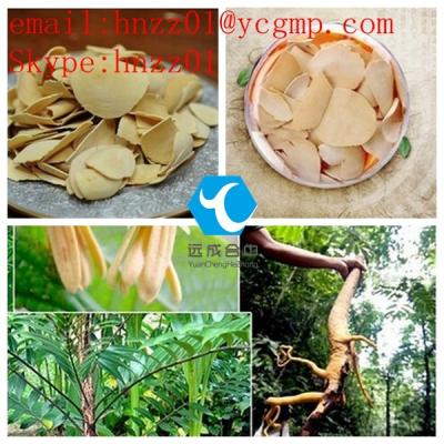 China 100% Real Tongkat Ali Extract CAS 84633-29-4 Eurycoma Longifolia Jack for sale