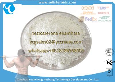 China High Purity Anabolic Steroid Powder Testosterone Enanthate for Bodybuilding for sale