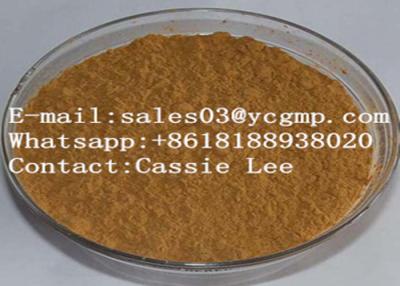 China Yohimbine HCl ( Extract ) Sex Enhancers Powder Cas 65-19-0 98% by HPLC for sale