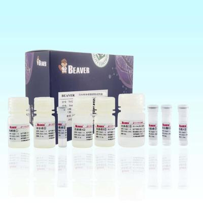 China Aguas residuales Kit Medical Wastewater Detection ácido nucléico de BeaverBeads en venta