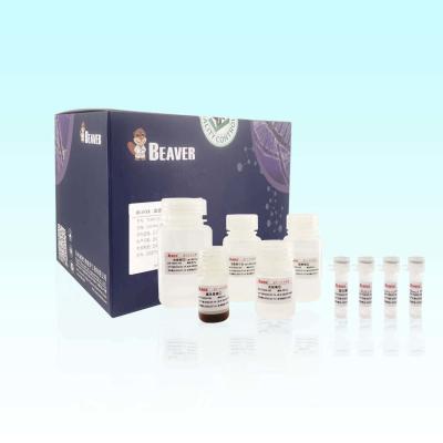 China BeaverBeads Blood RNA Extraction Kit With High Compatibility for sale